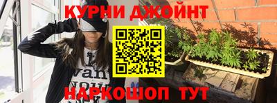 прущие грибы Ставрополь