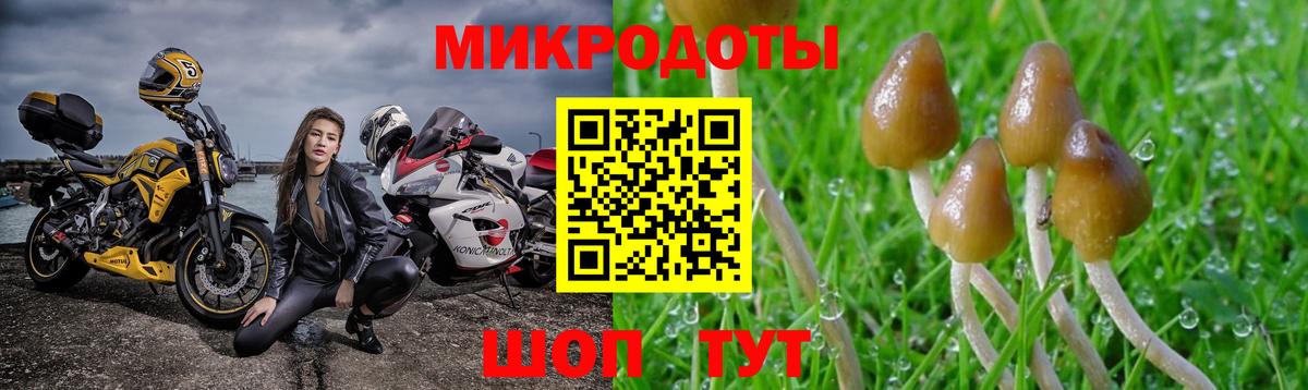 Мытищи  Галлюциногенные грибы Psilocybine cubensis  Вход с VPN 